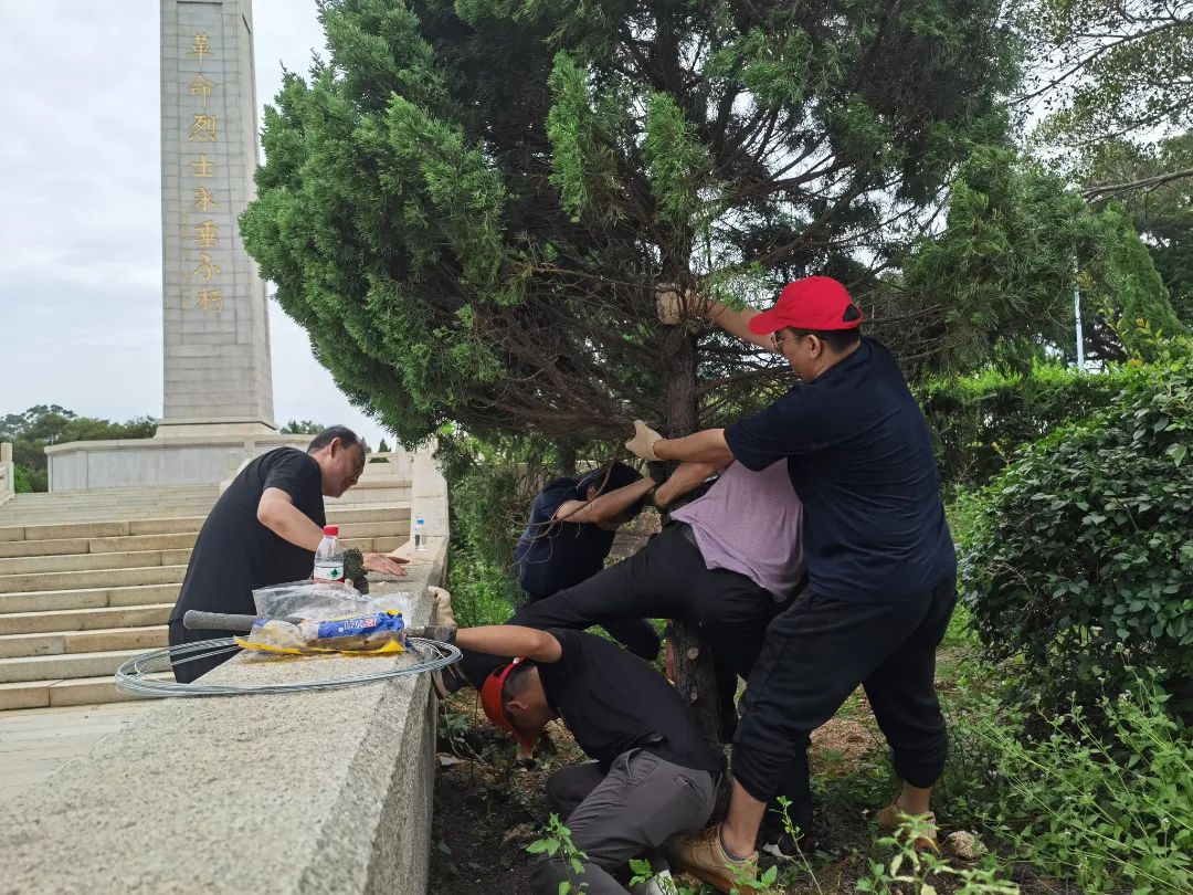 初心不改显担当 风雨逆行映忠诚——泉州市退役军人事务系统全力投入灾后重建清障工作纪实
