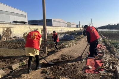 滕州市善南街道南刘庄居:"暖冬"活动持续升温,精准服务解民忧